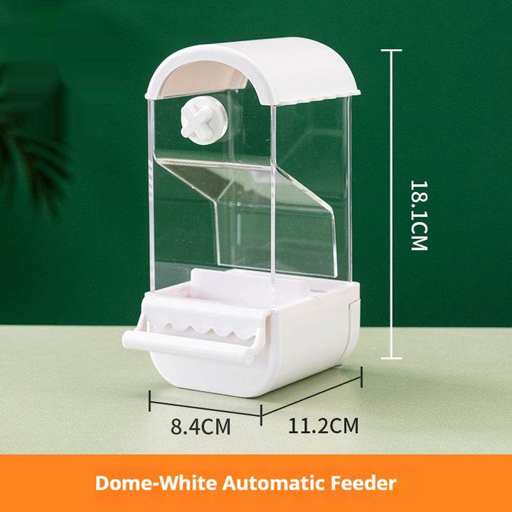 Parrot Automatic Pet Feeder Food Container - ZEYTONCART