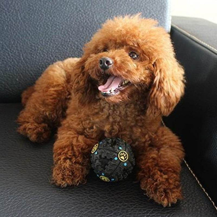 Paw Prime's Tricky Treat Ball - ZEYTONCART