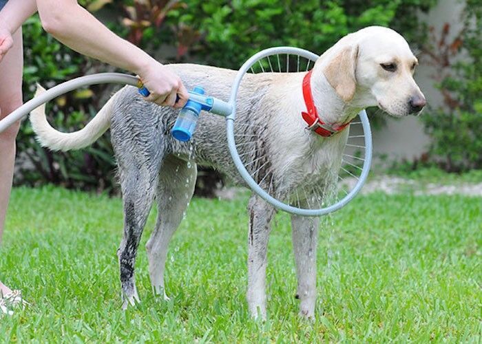 Fully automatic 360 degree pet supplies bath ring - ZEYTONCART