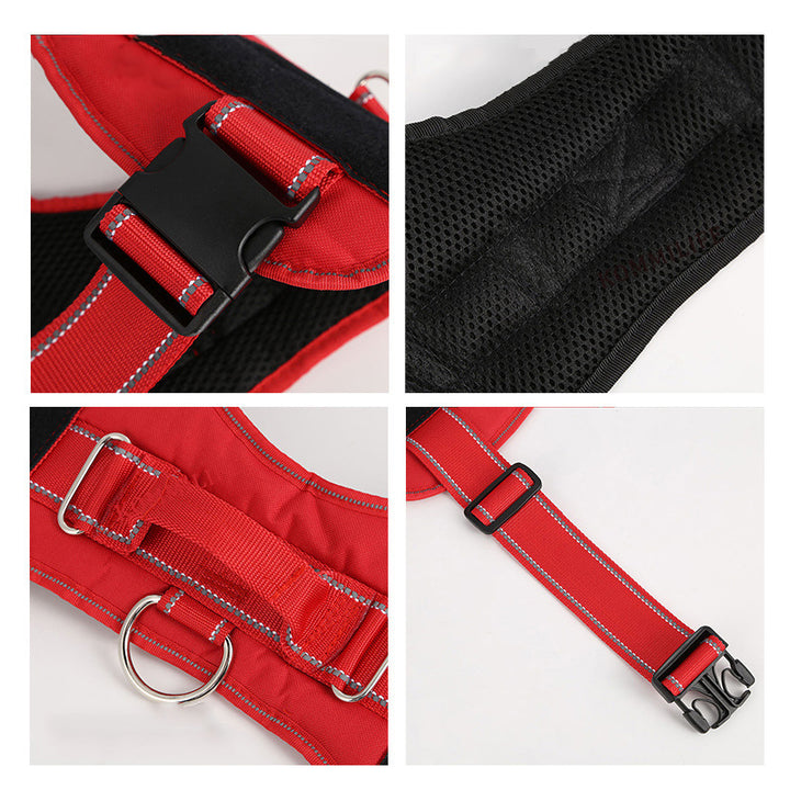 Personalization Of Pet Chest Strap Products - ZEYTONCART