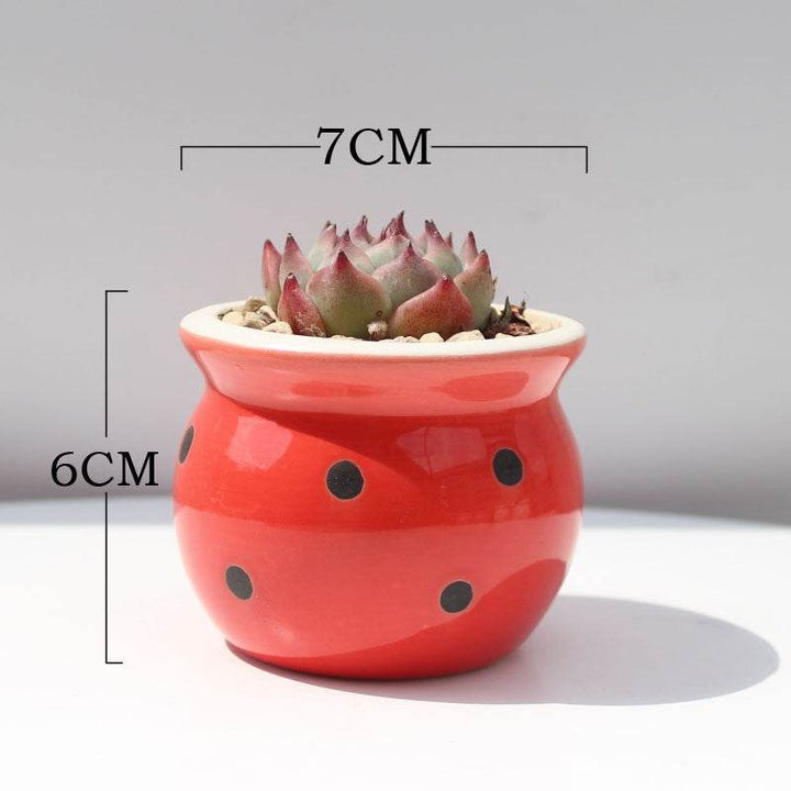 Succulent Flower Pot Ceramic Flower Pot Thumb Pot - ZEYTONCART