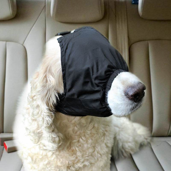 Stable Eye Mask - ZEYTONCART