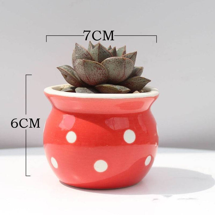Succulent Flower Pot Ceramic Flower Pot Thumb Pot - ZEYTONCART