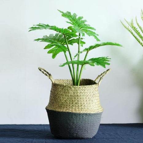 Wicker Foldable Planter Basket - ZEYTONCART