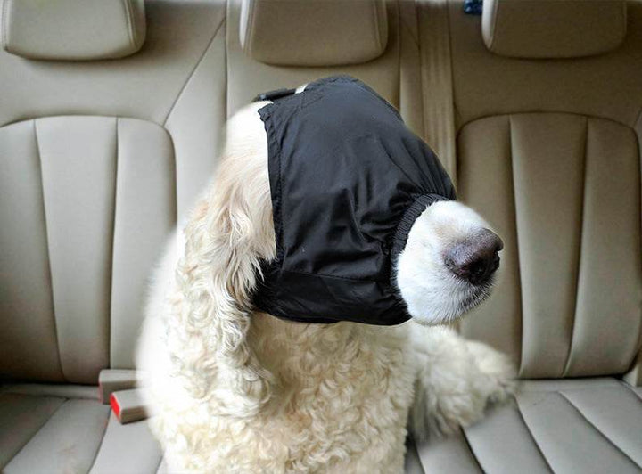 Stable Eye Mask - ZEYTONCART