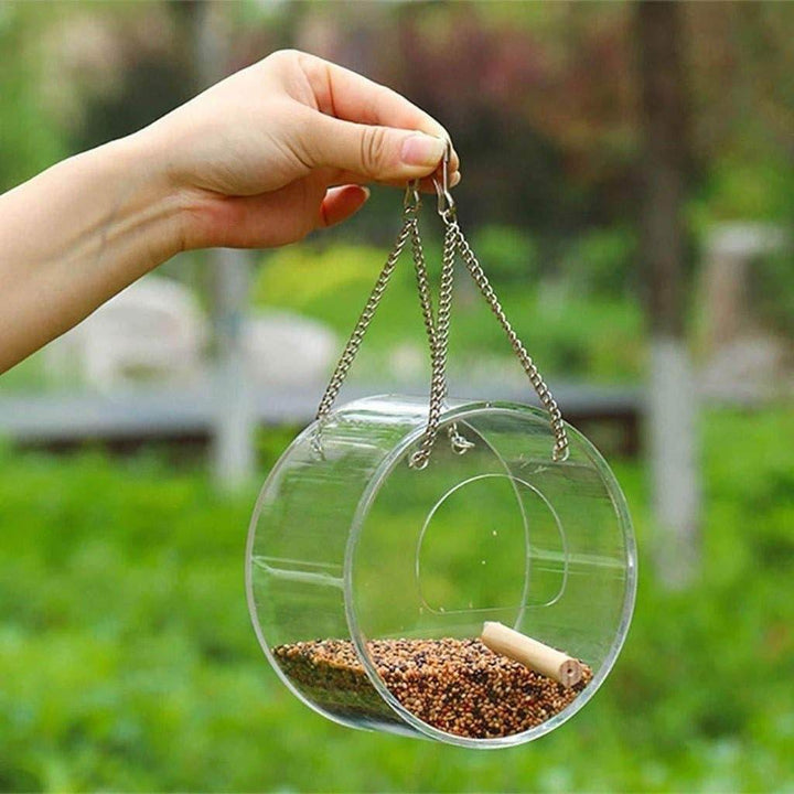 Acrylic Bird Food Box - ZEYTONCART