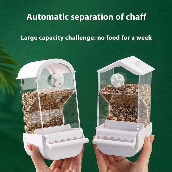 Parrot Automatic Pet Feeder Food Container - ZEYTONCART