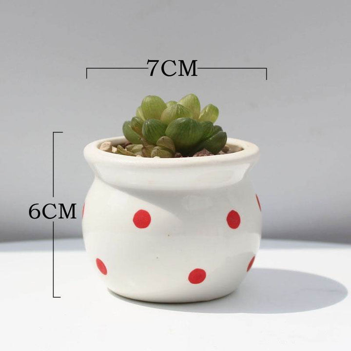 Succulent Flower Pot Ceramic Flower Pot Thumb Pot - ZEYTONCART