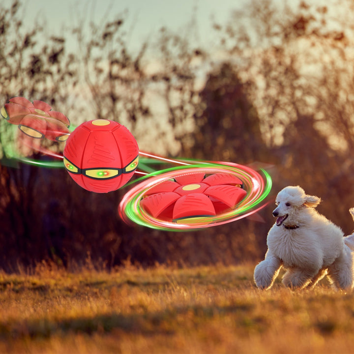 4 Pack Flying Saucer Ball Electric Colorful Flying Toy UFO Ball With LED Lights For Pet Children Outdoor Toy - ZEYTONCART