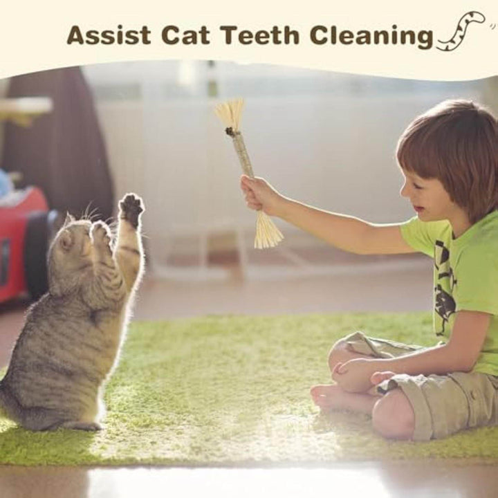 3 Pack Silvervine Sticks For Cats Cat Chew Toy For Dental Care Edible Cat Chew Sticks For Teeth Cleaning Kitty Toys For Indoor Cats - ZEYTONCART