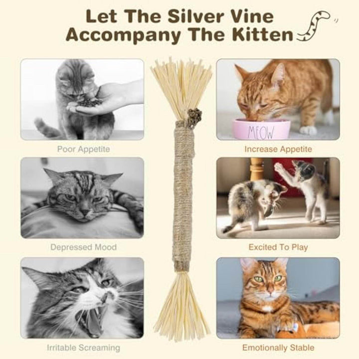 3 Pack Silvervine Sticks For Cats Cat Chew Toy For Dental Care Edible Cat Chew Sticks For Teeth Cleaning Kitty Toys For Indoor Cats - ZEYTONCART