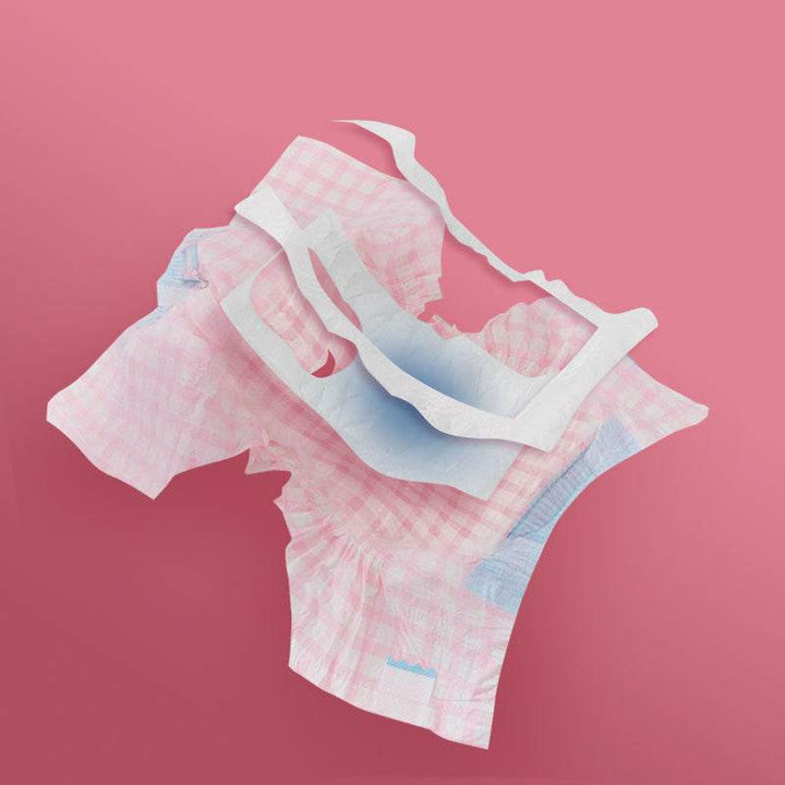Pet Diapers Teddy Menstrual Supplies - ZEYTONCART