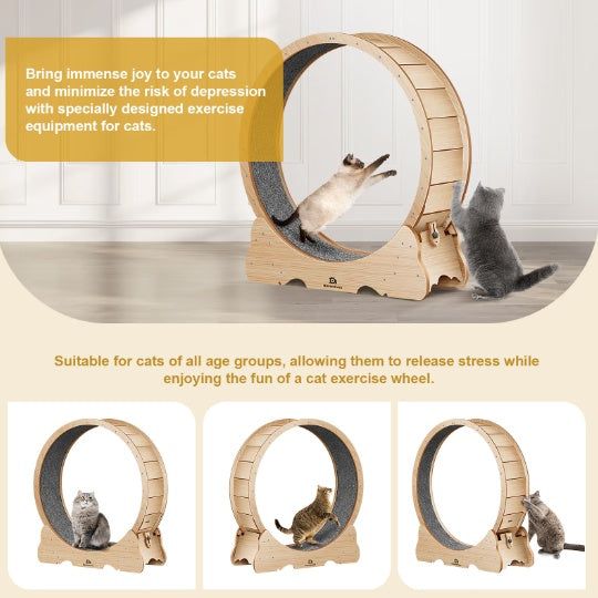 Cat Exercise Treadmill With Carpeted Runway - ZEYTONCART