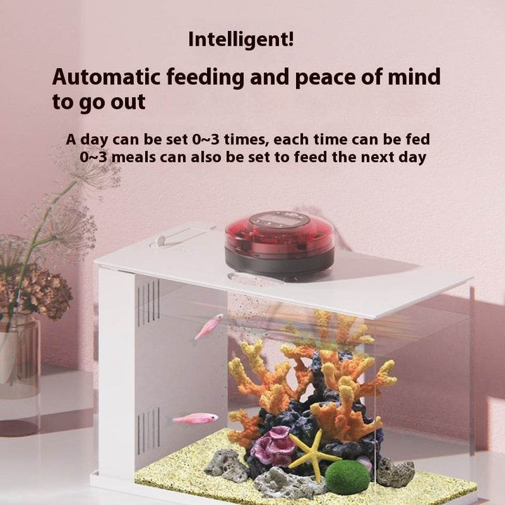 Feeding Artifact Fish Tank Timing Automatic Feeding - ZEYTONCART