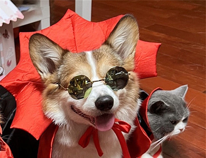 Halloween Pet Costumepet Halloween Cape Vampire King - ZEYTONCART