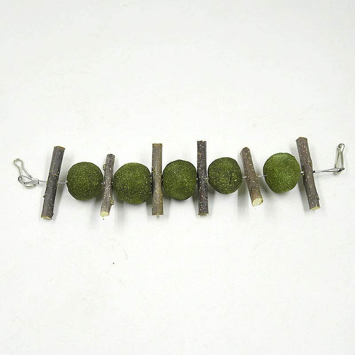 Pet molar supplies - ZEYTONCART