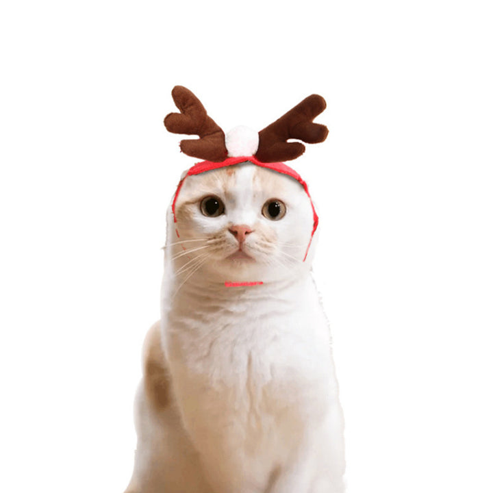 Cute Dog Cat Costume Christmas Cloak Halloween Disguise Cat - ZEYTONCART