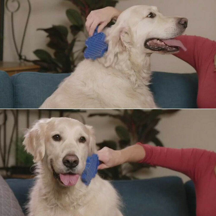 Pet Hair Remover Brush Gentle Pet Grooming Brush - ZEYTONCART
