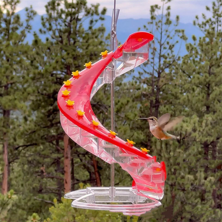 Climbing Ladder Spiral Hummingbird Feeder - ZEYTONCART