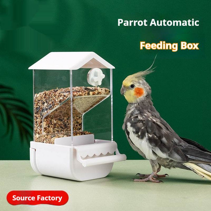 Parrot Automatic Pet Feeder Food Container - ZEYTONCART