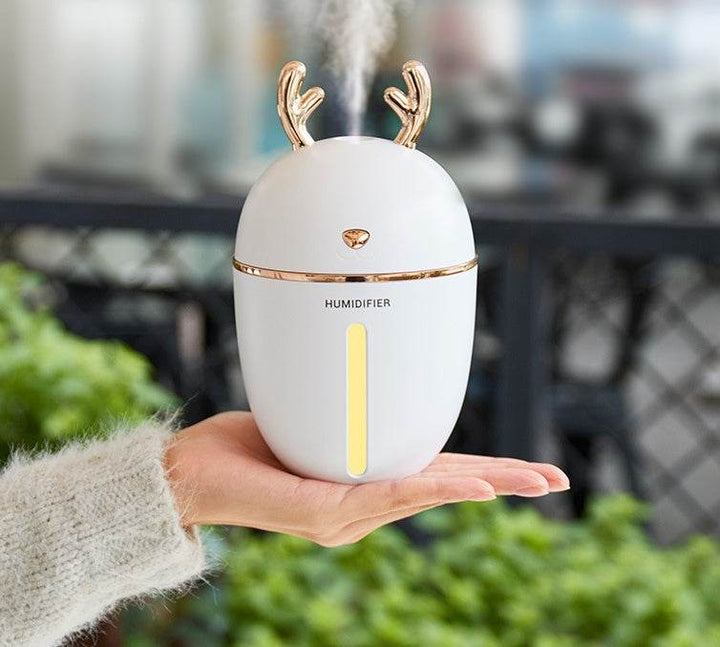 USB mute car office hydrating spray - ZEYTONCART