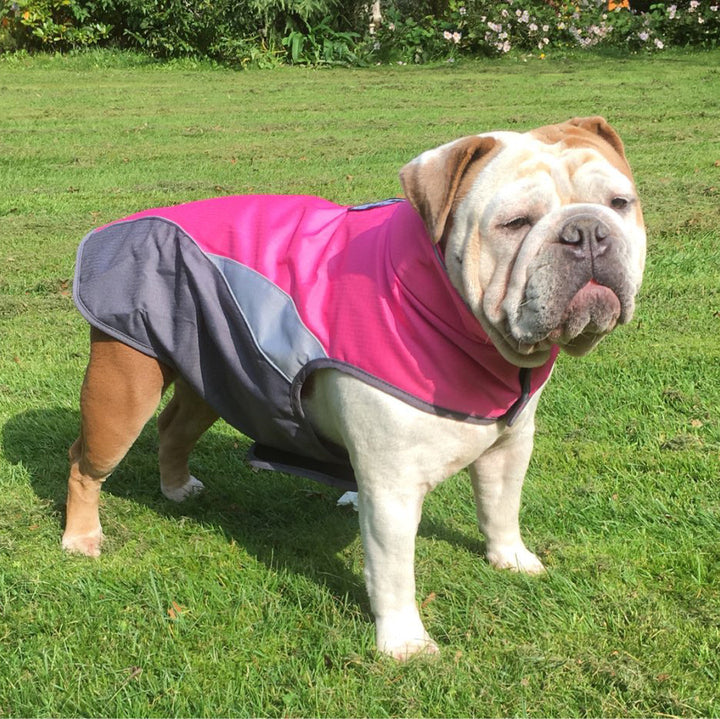 Waterproof outdoor poncho for pets - ZEYTONCART