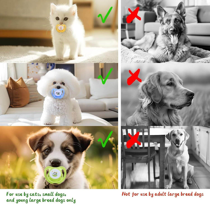 Dog Pacifiers For Small Dogs  Kitten Pacifiers Puppy Teething Toys And Cat Chew Toys  Essential Pet Supplies Puppy Essentials And Kitten Supplies - ZEYTONCART