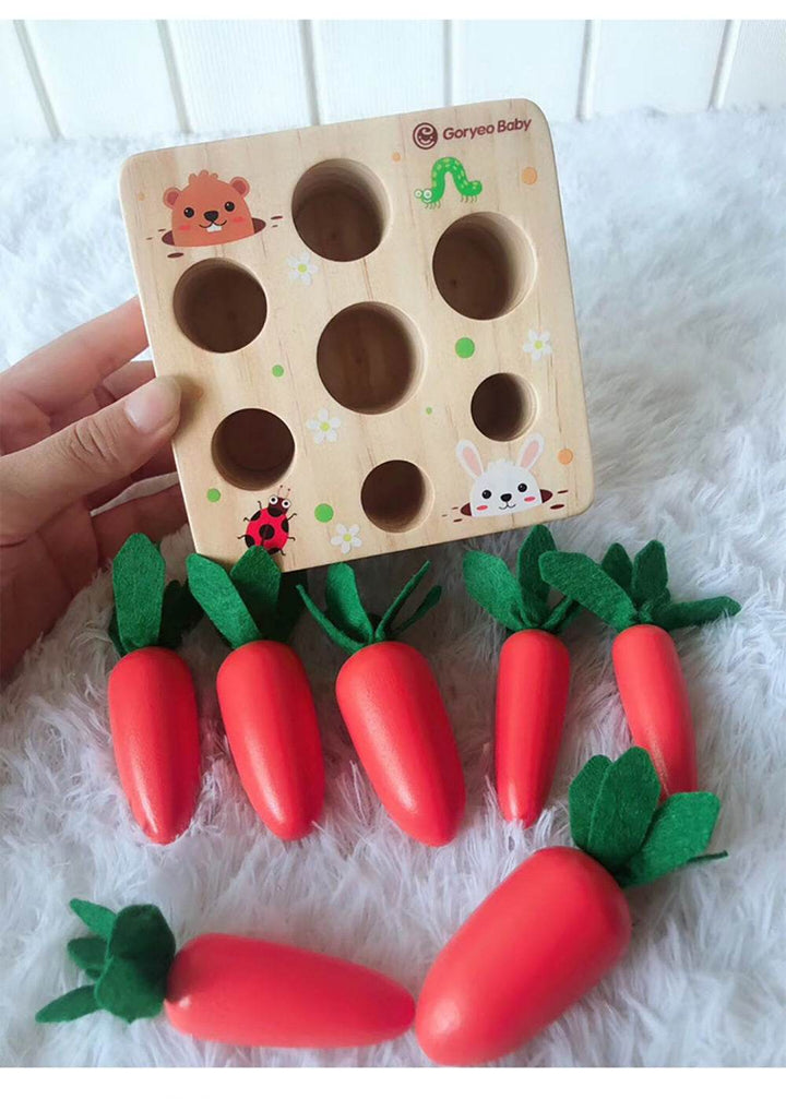 Educational toys - ZEYTONCART