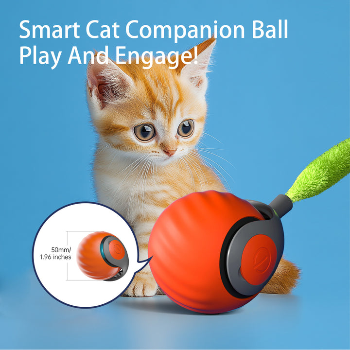 2025 Smart Interactive Cat Ball,Type-C Rechargeable Interactive Cats Toy,Automatic Cat Teaser Toy,Pet Supplies,New Year Gift - ZEYTONCART