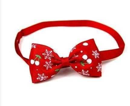 Pet cat dog neck puppy grooming - ZEYTONCART