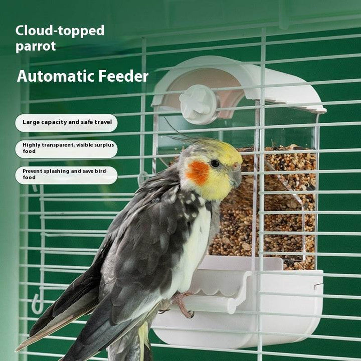 Parrot Automatic Pet Feeder Food Container - ZEYTONCART