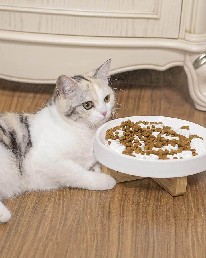 Ceramic Pet Feeder, Slow Feed Cat Bowls For Healthy Eating For Cats And Small Dogs - ZEYTONCART