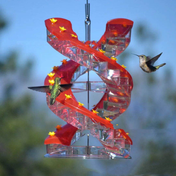 Climbing Ladder Spiral Hummingbird Feeder - ZEYTONCART