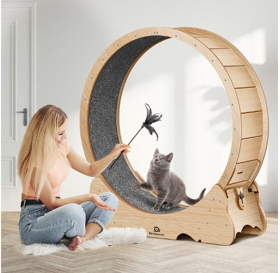 Cat Exercise Treadmill With Carpeted Runway - ZEYTONCART