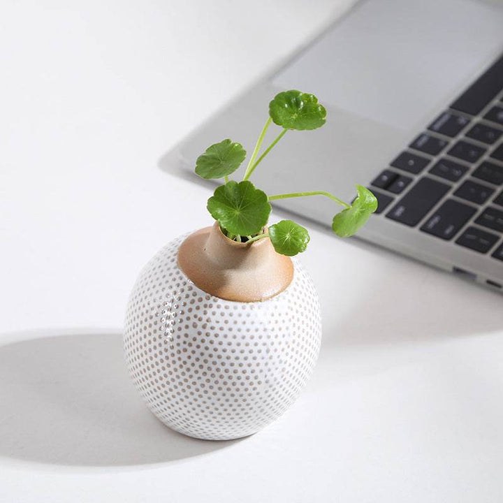 Creative Ceramic Hallway Desktop Decoration Ceramic Aromatherapy Bottles - ZEYTONCART