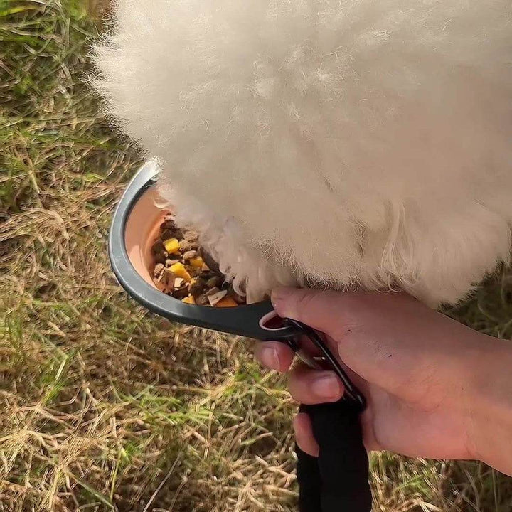 Collapsible Dog Bowls For Travel, Collapsible Silicone Dog Bowl, Foldable Expandable Cup Dish For Small Pet Cat Food Water Feeding Portable Travel Bowl, Dog Portable Water Bowl For Dogs Cats - ZEYTONCART