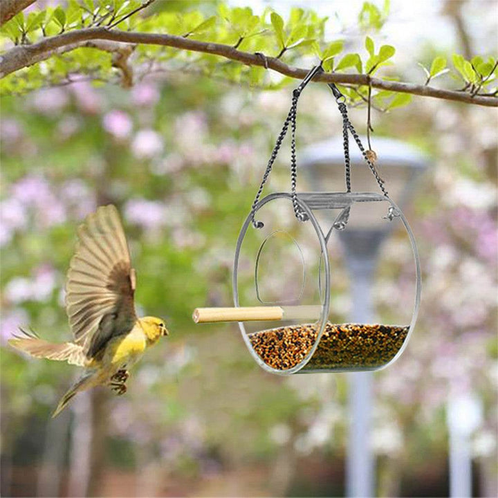 Acrylic Bird Food Box - ZEYTONCART