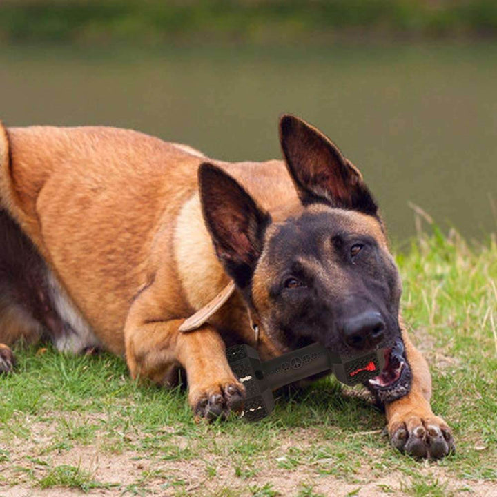 Durable Dog Chew Toys For Aggressive Chewers Food Grade Tooth Cleaning Pet Toy Interactive Dog Toy For Medium Large Dogs - ZEYTONCART