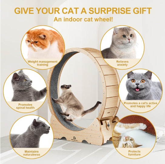 Cat Exercise Treadmill With Carpeted Runway - ZEYTONCART