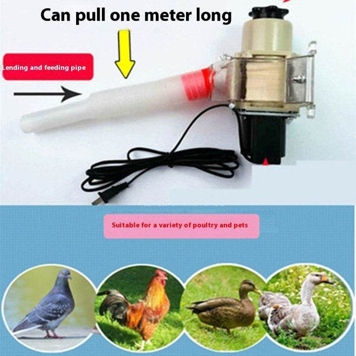 Automatic Chicken Feeding Device Duck Feeding Machine Timer Solar Energy - ZEYTONCART