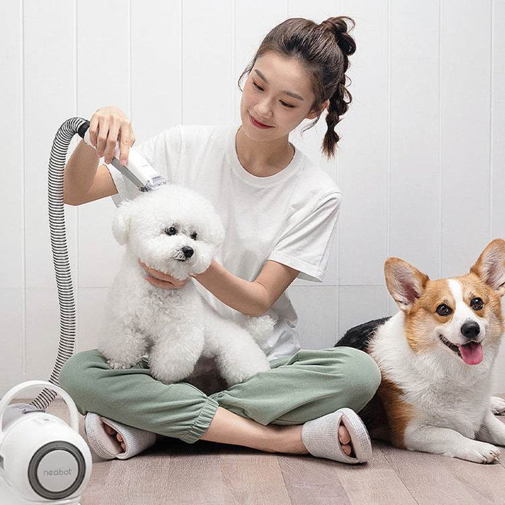 Pet Grooming Device Comb Shaving Hair Grooming In One P1 Beauty Pet - ZEYTONCART