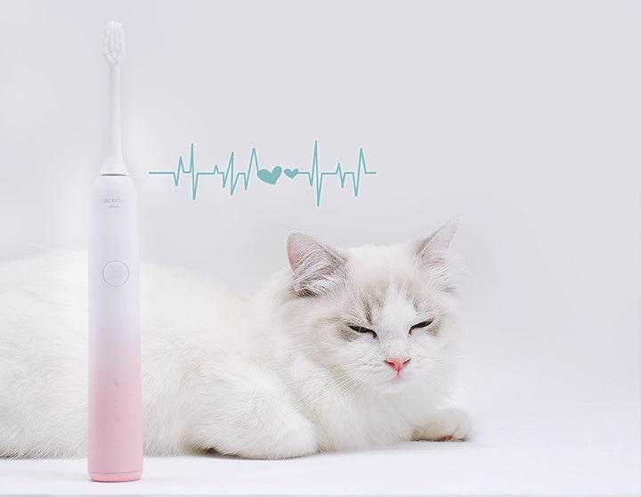 electric toothbrush - ZEYTONCART