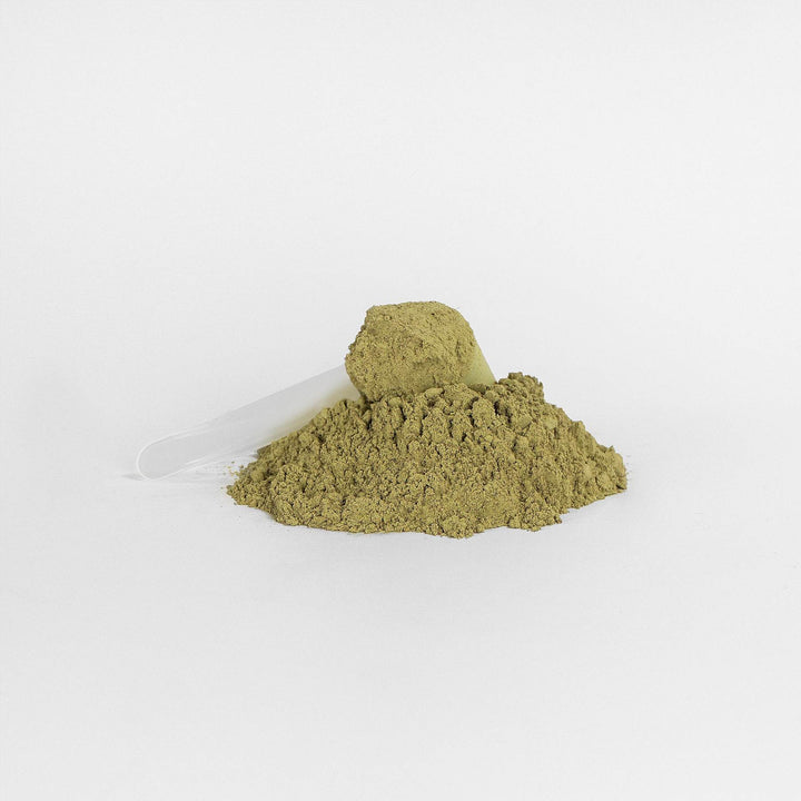 Green Superfood Powder Nutrient Rich Blend For Energy, Digestion Overall Wellness - ZEYTONCART