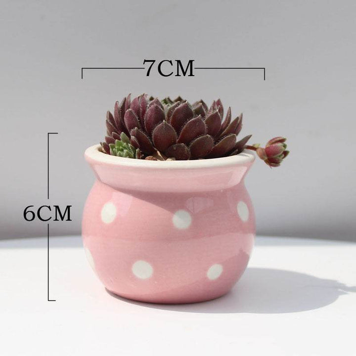 Succulent Flower Pot Ceramic Flower Pot Thumb Pot - ZEYTONCART