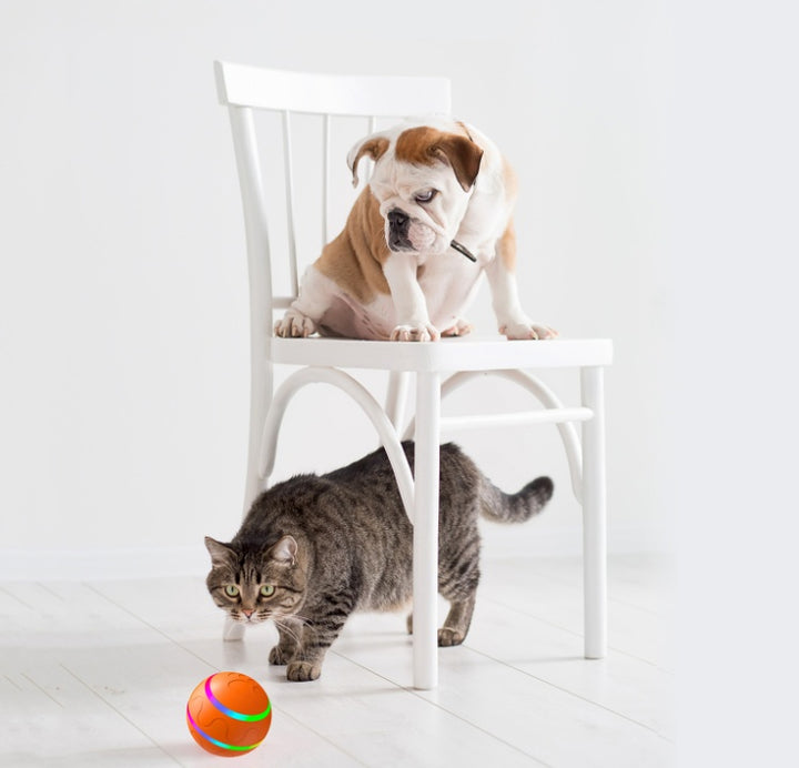 Pet New Cat Wicked Ball Toy Intelligent Ball USB Cat Toys Self Rotating Ball Automatic Rotation Ball - ZEYTONCART