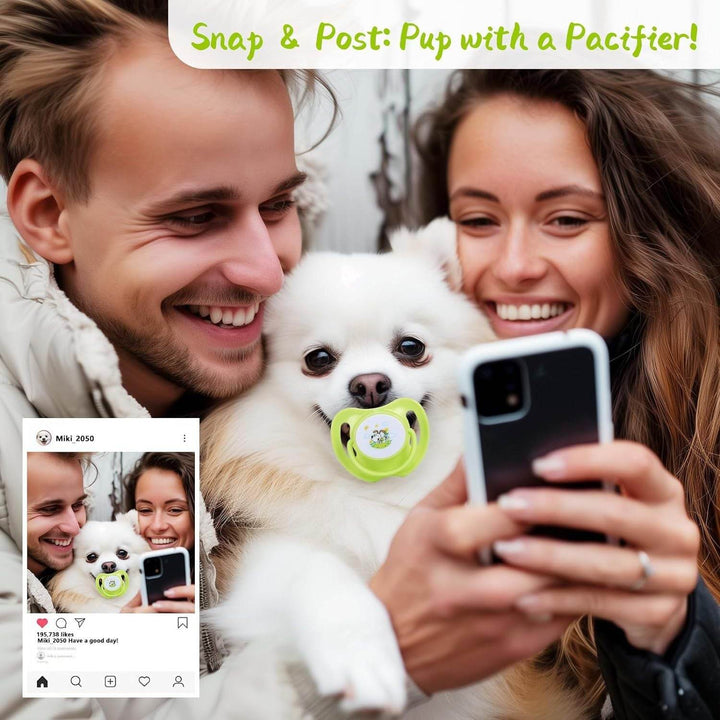Dog Pacifiers For Small Dogs  Kitten Pacifiers Puppy Teething Toys And Cat Chew Toys  Essential Pet Supplies Puppy Essentials And Kitten Supplies - ZEYTONCART