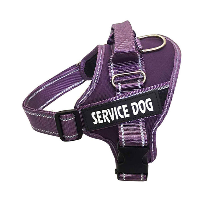 Personalization Of Pet Chest Strap Products - ZEYTONCART