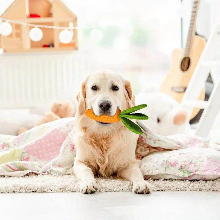 Carrot Dog Chew Toys Durable Rubber Squeaky Toy Shaped Dog Toys For Dogs Boredom Chewers Toothbrush Toy Supplies - ZEYTONCART