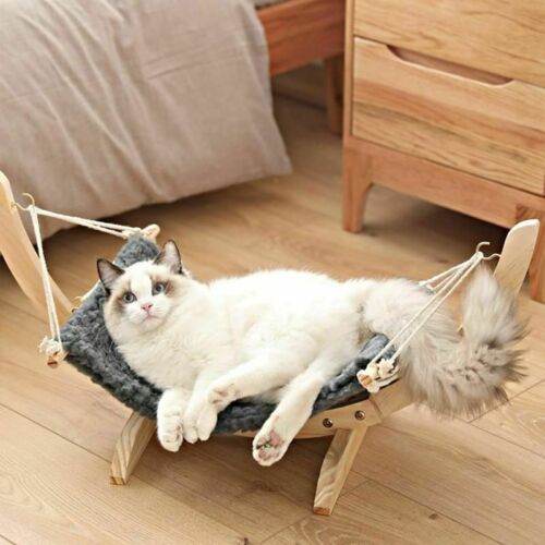 Solid wood cat and dog bed pet nest pad hanging - ZEYTONCART