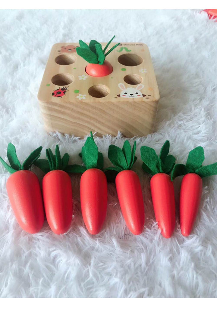 Educational toys - ZEYTONCART